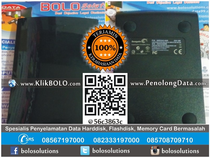 Recovery Data Harddisk Eksternal Seagate 250GB Hendy Susilo Surabaya