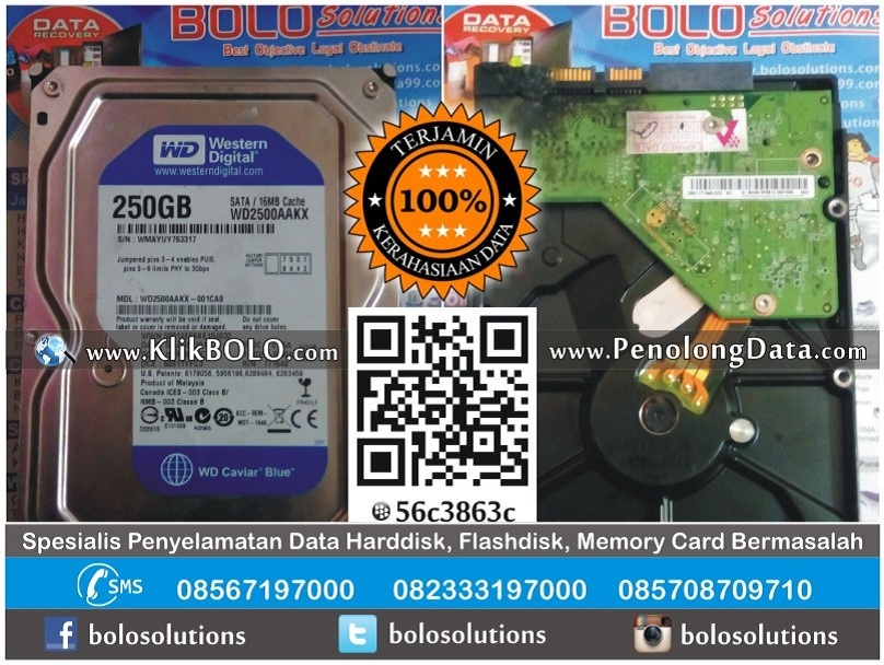 Recovery Data Harddisk WD 250GB PT Mikatasa Agung Surabaya