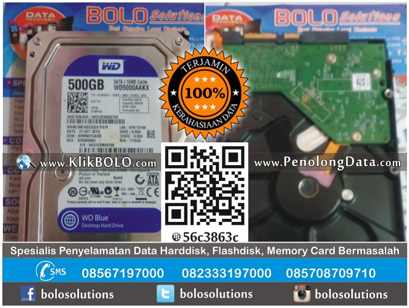 Recovery Data Harddisk WD 500GB Tutik Mahsunah Surabaya
