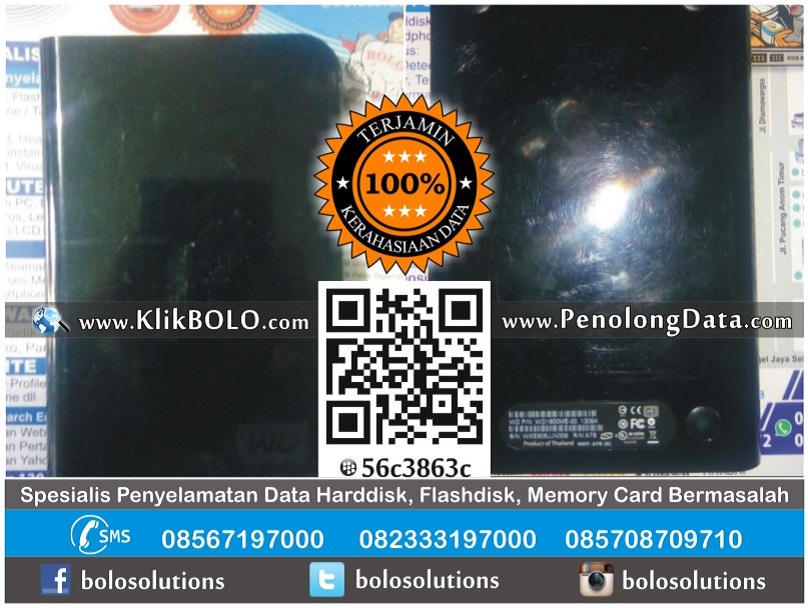 Recovery Data Harddisk WD 160GB Benny Sukamto Surabaya