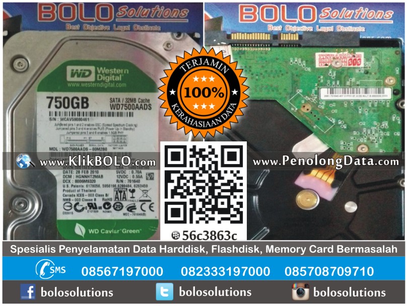 Recovery Data Internal Harddisk WD 750GB Chilwin Theodoroes Surabaya